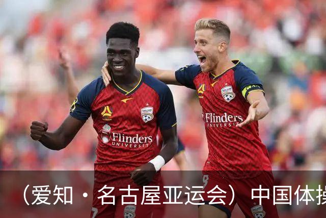 （爱知·名古屋亚运会）中国体操男团收获亚运会三连冠